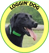 loggin dog